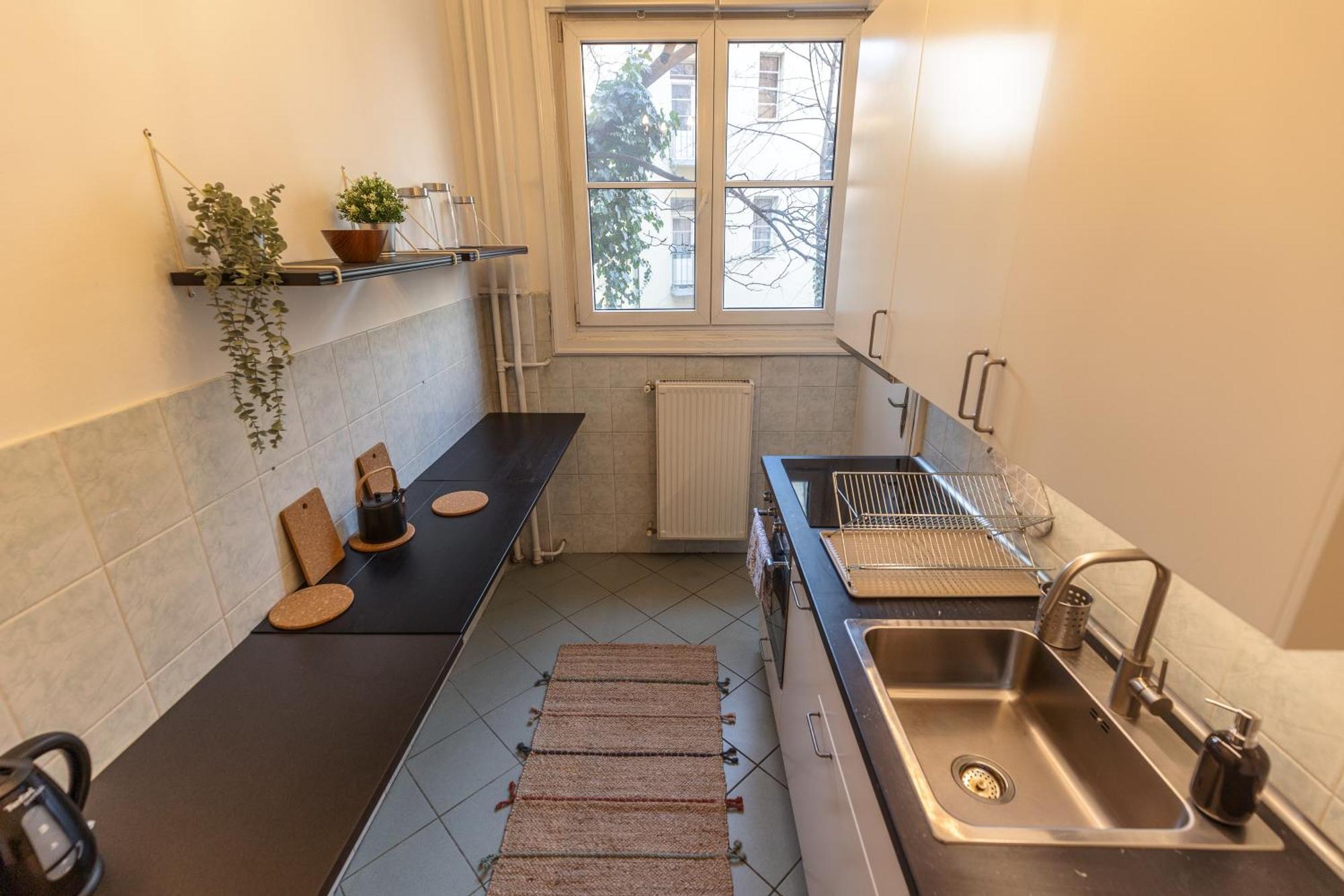 Bright & Spacious Riverside With Balcony Budapest